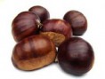/products/castana-gallega/